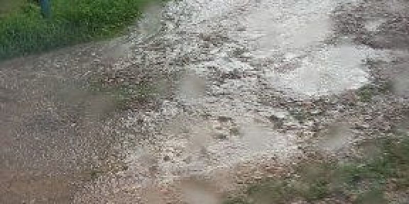 «Истоки» выбрали нового народного корреспондента