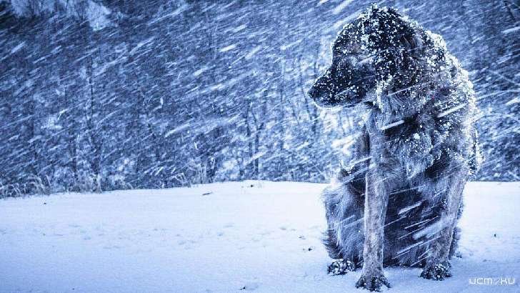 Осторожно: гололедица! Вечером на Орловщину обрушится метель