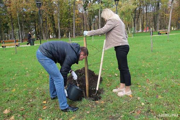 В Орле на аллее Памяти высадили новые липы и клёны