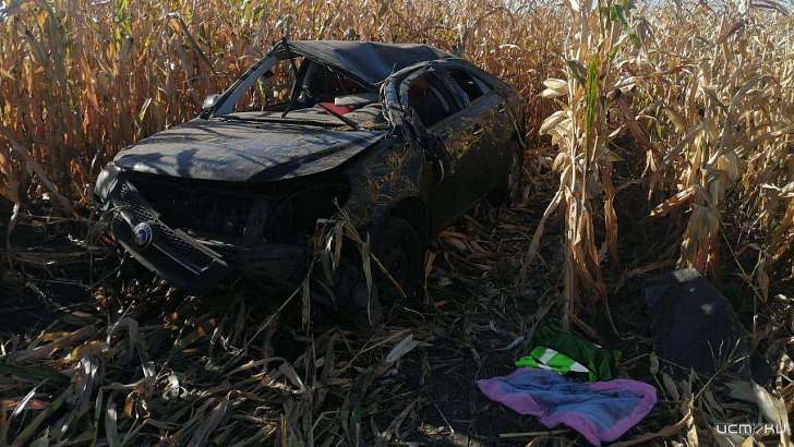 На Орловщине девушка вылетела на иномарке в кукурузное поле