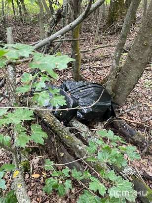 В Орловской области из незаконного оборота изъяли почти 3 кг конопли