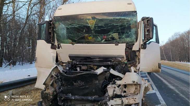 Два грузовика и кроссовер собрались в «паровозик» на орловской трассе