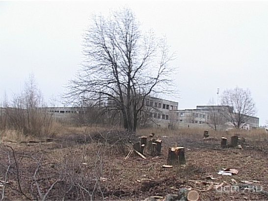 А дубы в городе Орле теперь ничего не стоят?! А дубы в городе Орле теперь ничего не стоят?!