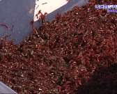 Молчаливые баталии: в выходные в Орле состязались рыболовы