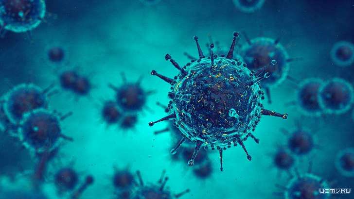 Россия побила рекорд по числу больных COVID-19, а на Орловщине умерло еще двое