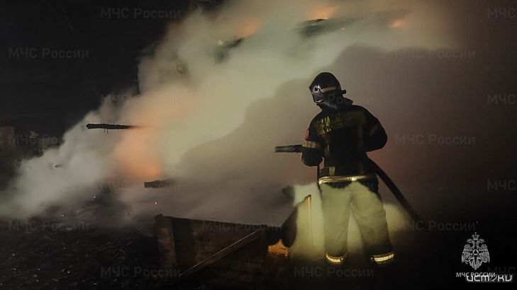 В Орле при пожаре в дачном доме пострадали два человека