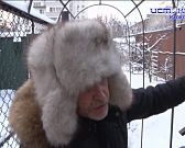 Преданные дважды. Они оказались на улице, да и приюта не дождались