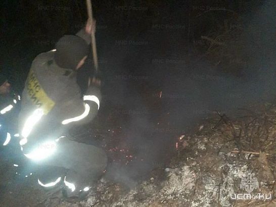 В Орле зафиксирован первый в этом году случай горения сухой травы