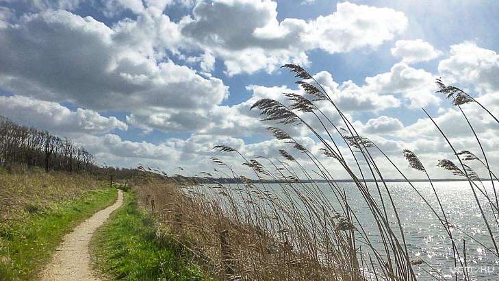 В Орловской области снова ожидается усиление ветра до 18 м/с