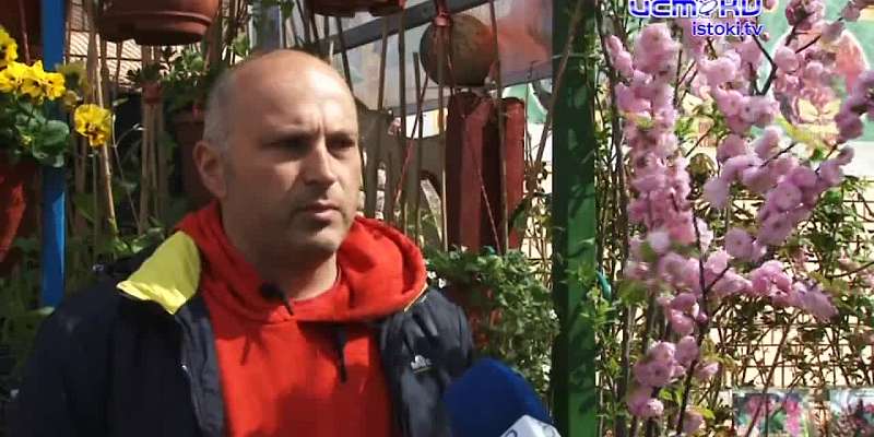 Экзотические и обычные. Садовый центр "Саженцы в Орле" дает возможность не только купить приглянувшуюся культуру, но и посмотреть, как это все растет