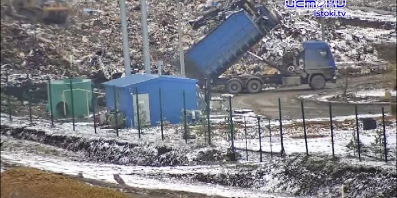 Множественные нарушения "Зеленой рощи"
