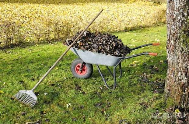 Городские чиновники отчитались об итогах экологического месячника