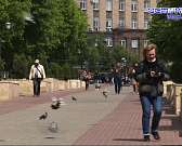 Орловские чиновники не смогли назвать срок отставания от графика работ на Красном мосту