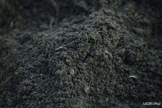 Грунт в Москве