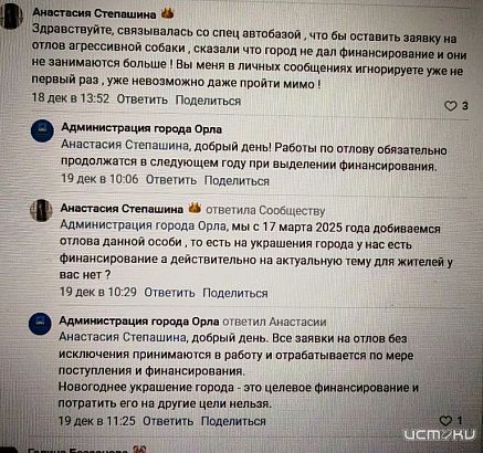 В Орле нет денег на отлов бродячих собак