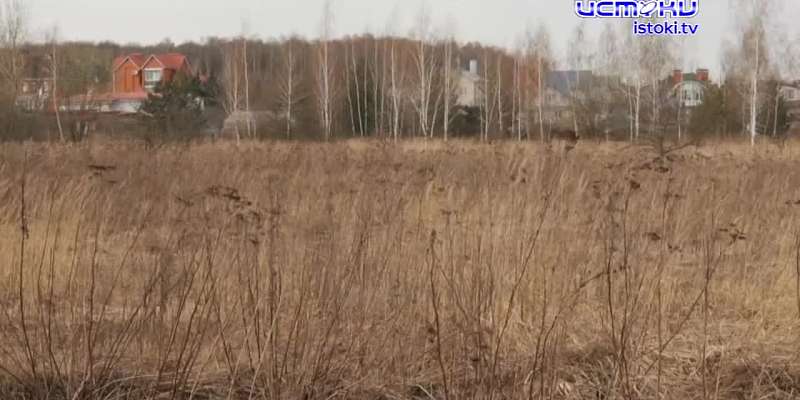 Экспертное мнение 14.04.23