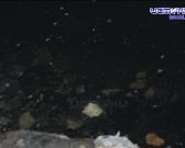 Улица рельсовая и её проблемы