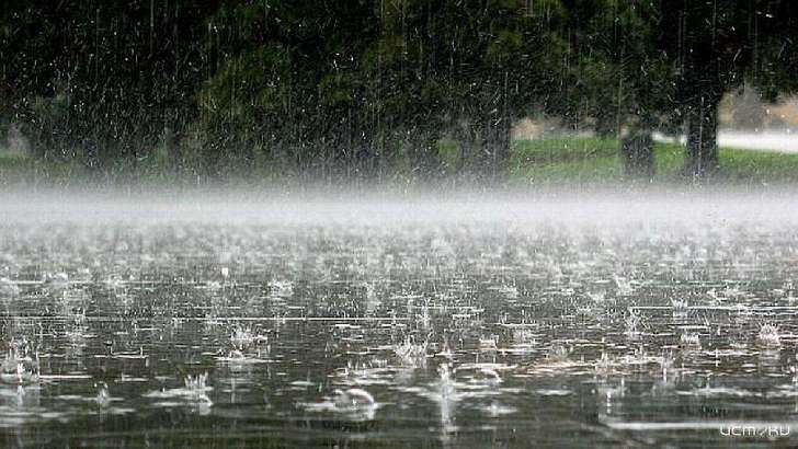 В Орел пришли осенние холода и дожди