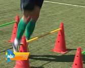 Заявка ФК "Орел" на предстоящий сезон пополнилась 12 футболистами