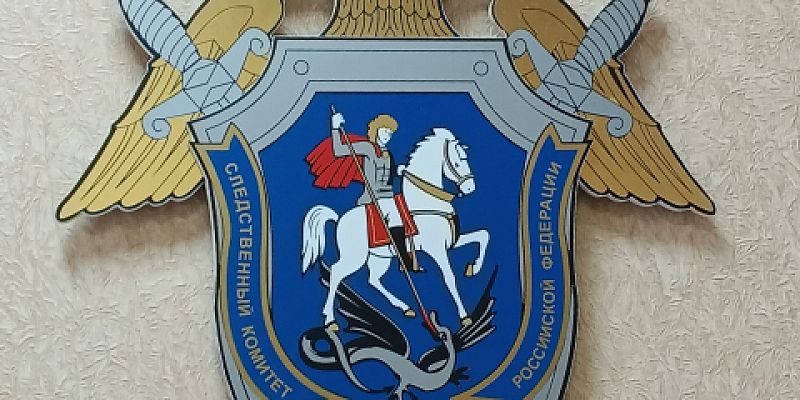 Незаконное получение социальных выплат привело к уголовному делу 