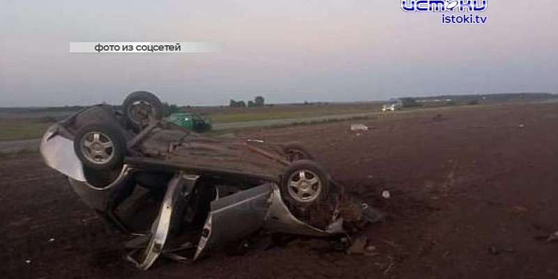 Прокуратура заинтересовалась планами чиновников вырубить деревья на Пионерской, "странное нападение", - так окрестила экс-депутат облсовета, в домах м...