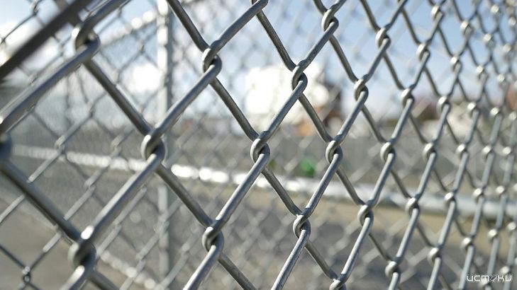 Как оцинкованная сетка двойного кручения помогает бороться с коррозией в загородном хозяйстве