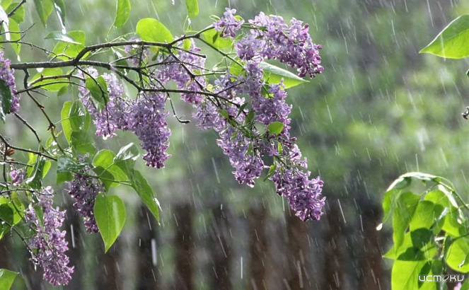 Орловчан ждут пасмурные, но не безнадежные выходные!  Орловчан ждут пасмурные, но не безнадежные выходные!