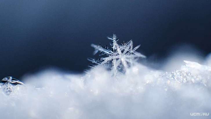 Небольшой снег и морозец ожидают орловчан в среду