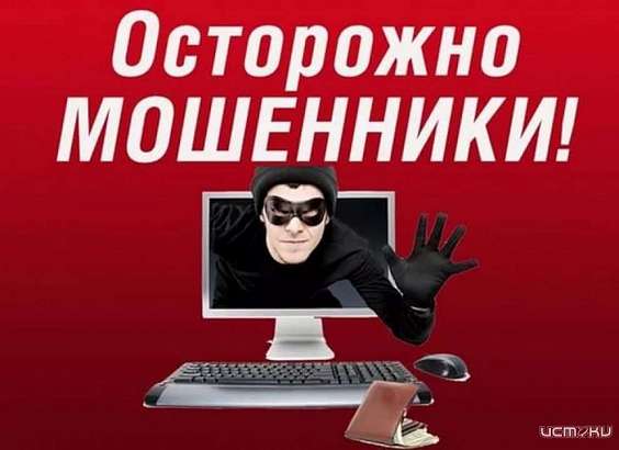 В Орловской области участились случаи рассылки сообщений от имени приставов с целью хищения денег под видом погашения долгов