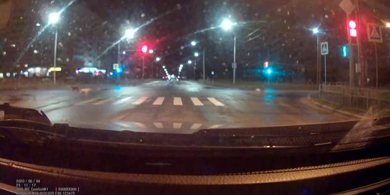 Видео: прохожие и автомобилисты спасли орловчанку от своры собак
