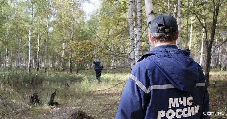 Во Мценском районе в лесу заблудился ребёнок