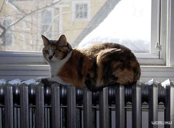 Топить, нельзя бросать! Орловский отопительный сезон продолжается!