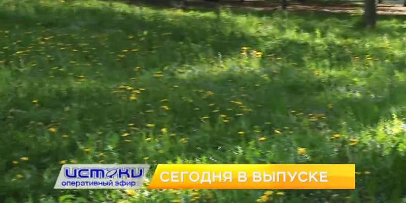 Ты там не коси, ты здесь коси.Лучше понедельники взять и отменить.Место встречи изменили.ОБ ЭТОМ И НЕ ТОЛЬКО В 19:00 В ПРОГРАММЕ "ОПЕРАТИВНЫЙ ЭФИР"