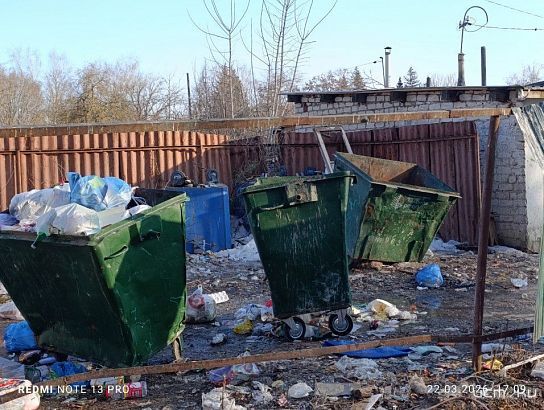 Мусор по улице Дарвина в Орле убрали, но какой ценой