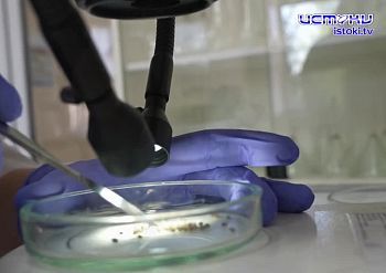 Экспертное мнение 13.05.2026