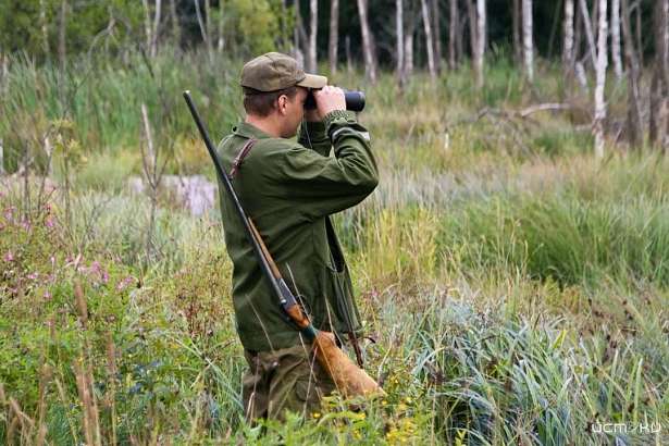 Стало известно, когда орловчане могут охотиться на пушных животных