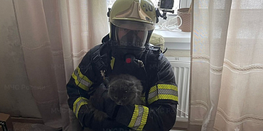 спасатели пожар Мценский район мчс За прошедшие сутки во Мценске пожарные спасли 8 человек и кота