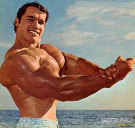 Сегодня состоится чемпионат по бодибилдингу