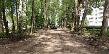 Спецавтобаза В «Спецавтобазе» объяснили снос деревьев в Северном районе Орла