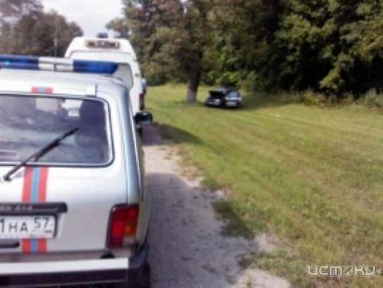 В Урицком районе внедорожник вылетел в кювет