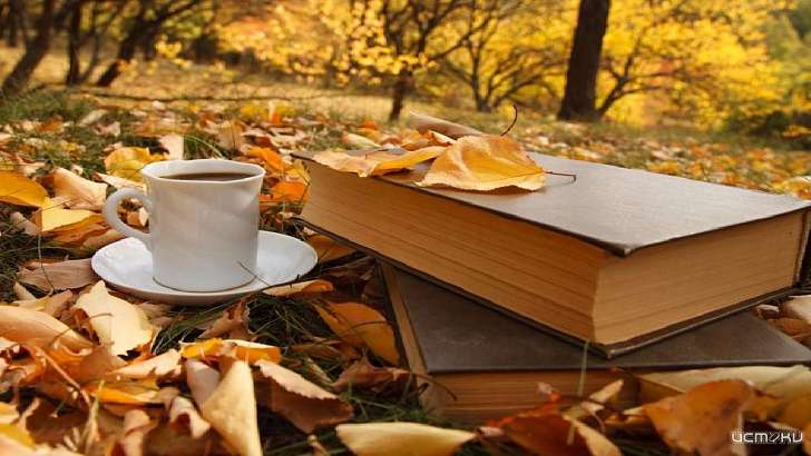 8 октября в Орле вновь будет холодно: когда вернется тепло