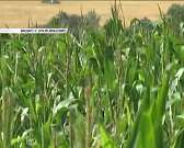 Новости за 90 секунд: пропавшего в Ливнах глухого мальчика нашли за час, следственный комитет не смог прекратить разбирательство по делу нехватки лека...