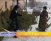 Орловский депутат предложил отправлять бездомных собак в зону СВО, Клычков рассказал о «сквозном инвестиционном потоке», а ёлки к Новому году можно бу...