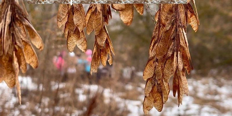 Суточный рекорд максимальной температуры был побит в среду в десяти городах России