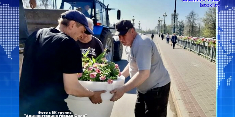 На Александровском (Ленинском) мосту установили первые вазоны