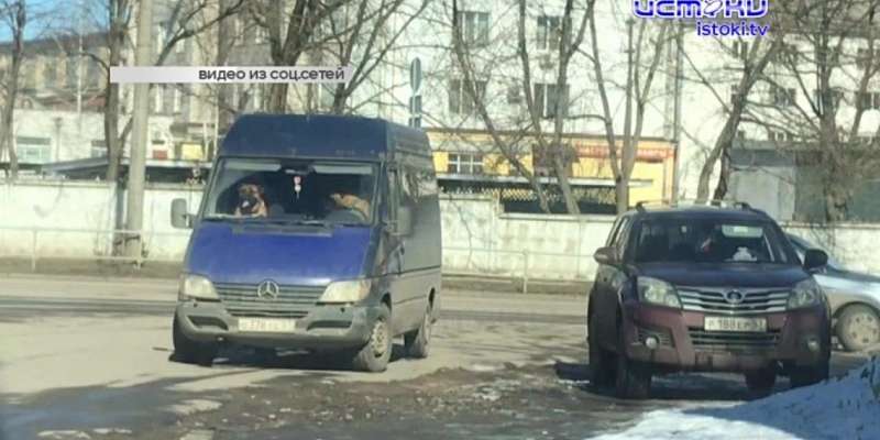 Видео: в Орле замечен микроавтобус с «озверевшими водителями»