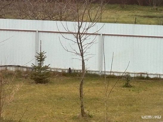 "Спецавтобаза" старательно убирает орловские дороги.