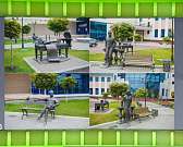 Участникам «Своей игры» не удалось сразу ответить на вопрос об Орле