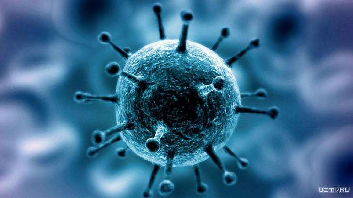 Среди умерших орловчан с диагнозом COVID-19 трое были младше 40 лет