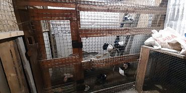 Региональный Россельхознадзор обнаружил нарушения в Орловском полесье